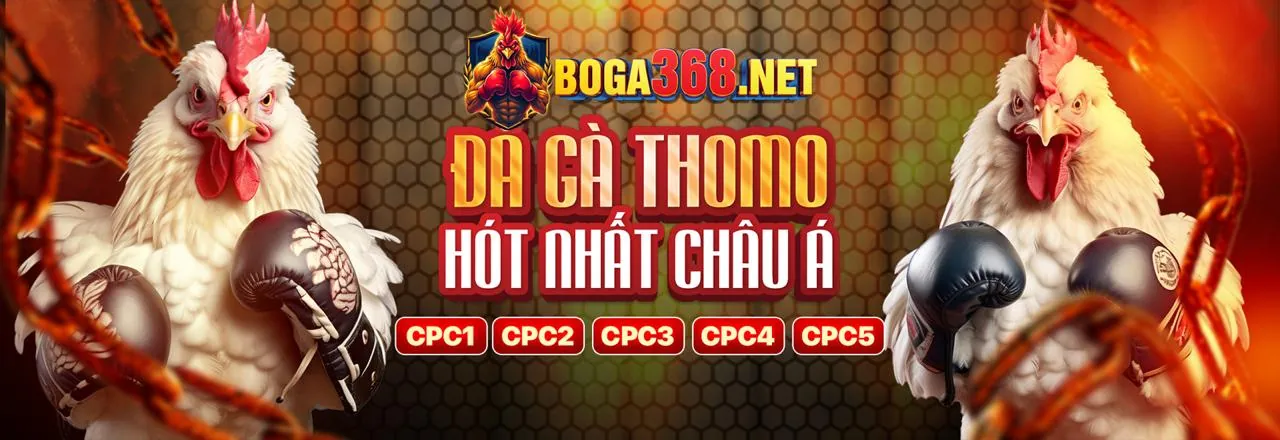 Hình ảnh chính đá gà tại F088 Trang Chủ Chính Thức